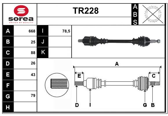 TR228