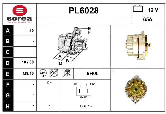 PL6028