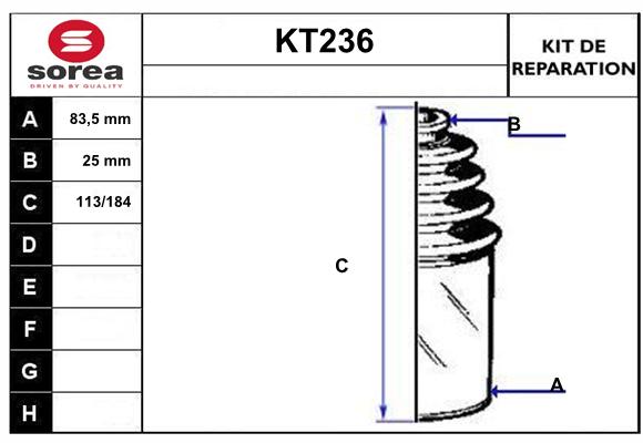 KT236