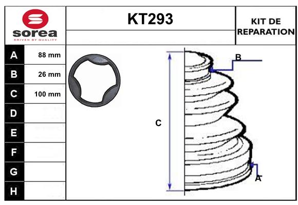 KT293