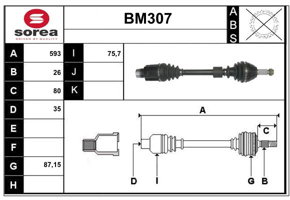BM307