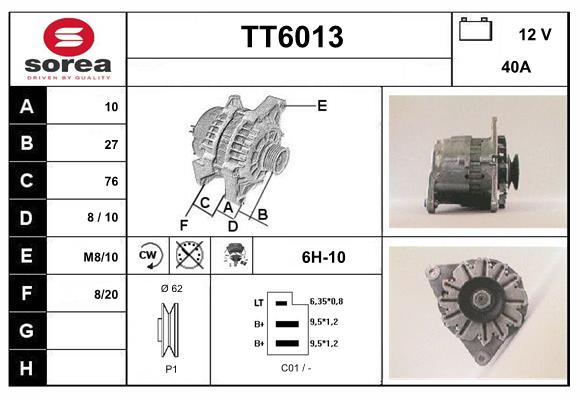 TT6013