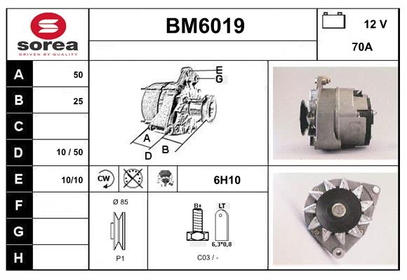 BM6019