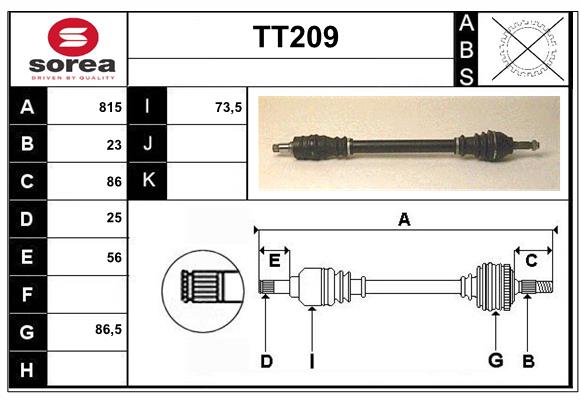 TT209