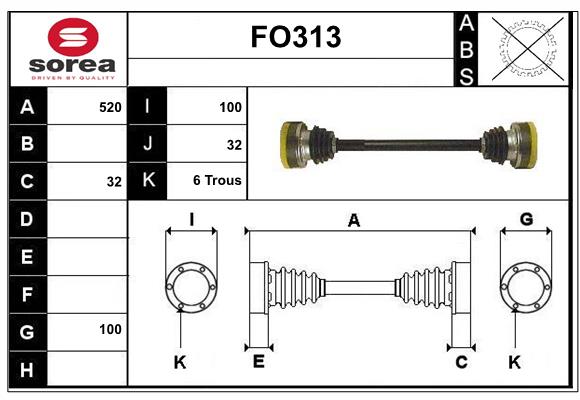 FO313