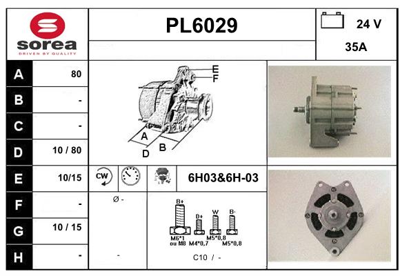 PL6029
