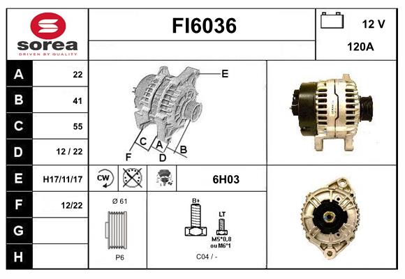 FI6036
