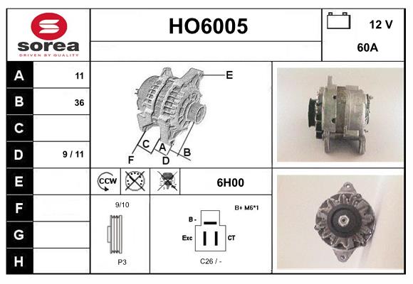 HO6005