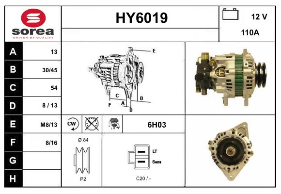 HY6019