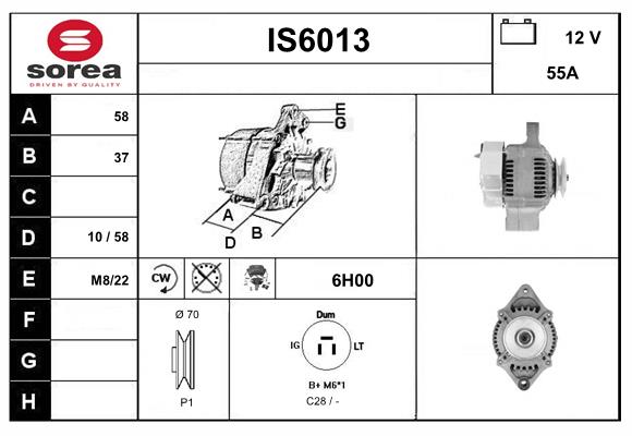 IS6013