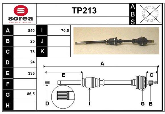 TP213