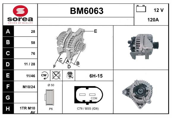 BM6063