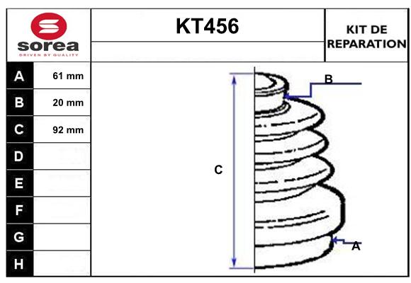 KT456