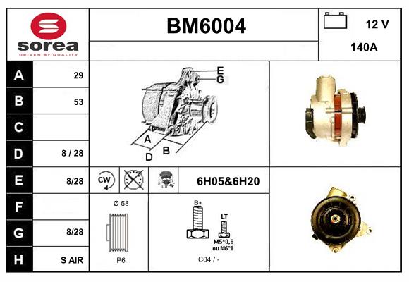 BM6004