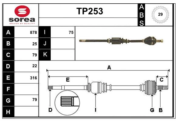 TP253