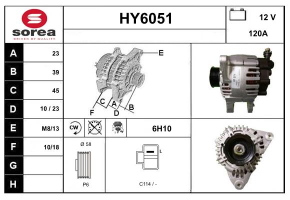 HY6051