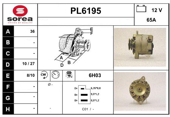 PL6195