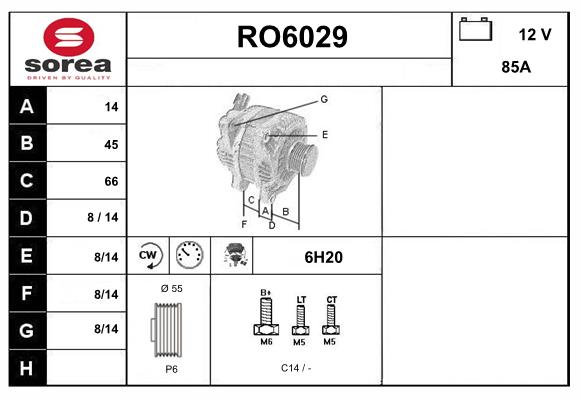 RO6029