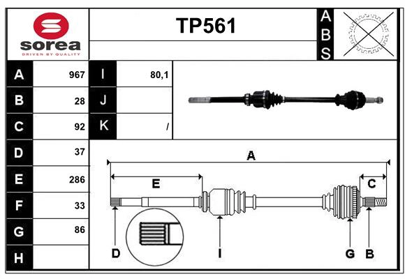 TP561
