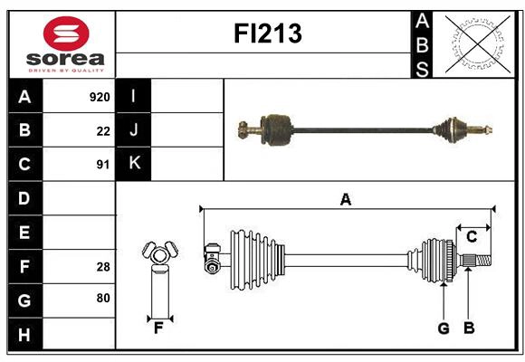 FI213