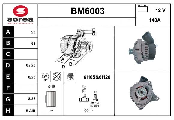 BM6003