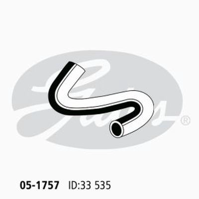 13119306