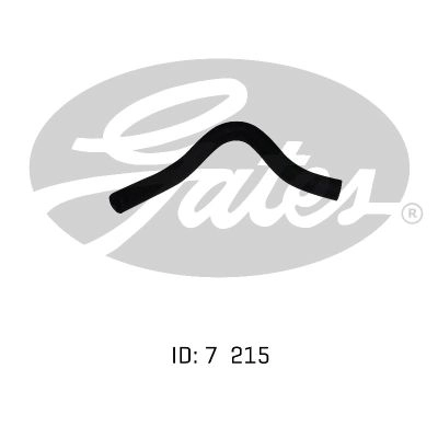 ZM0113691A
