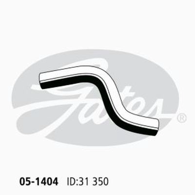 2541128251