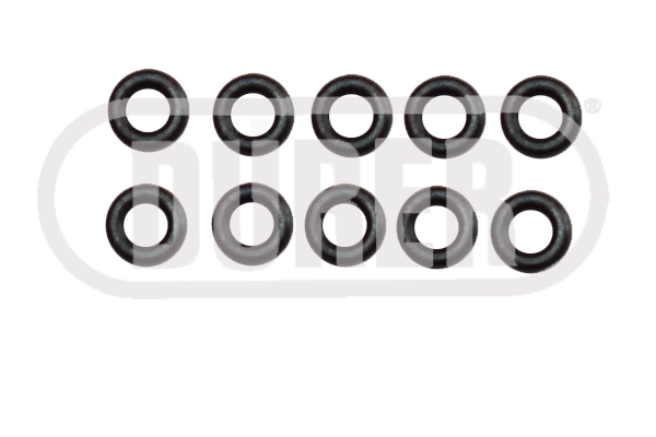 JCNS10