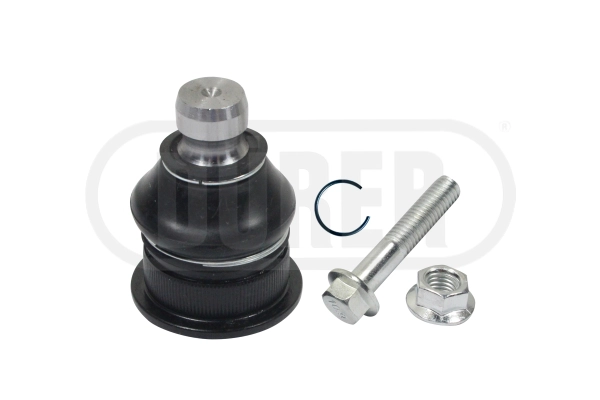 ROTSUS573