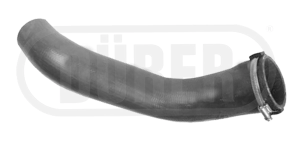 DT202Q1