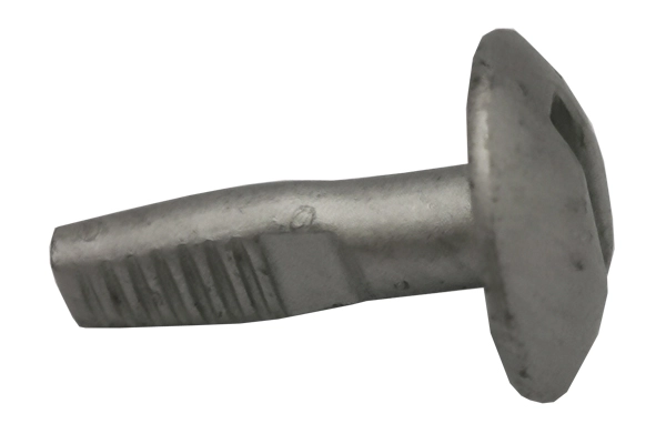 CL2Ms10