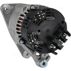 EGL1243