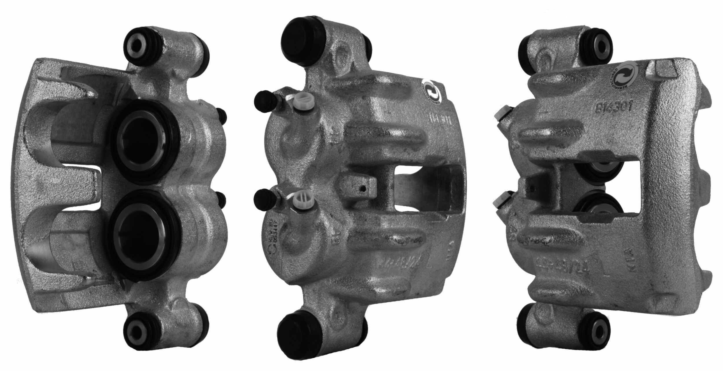 BR004446