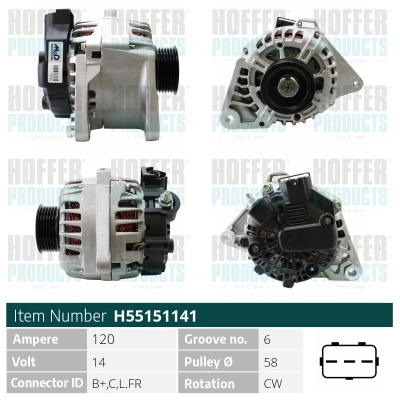 WG2263646