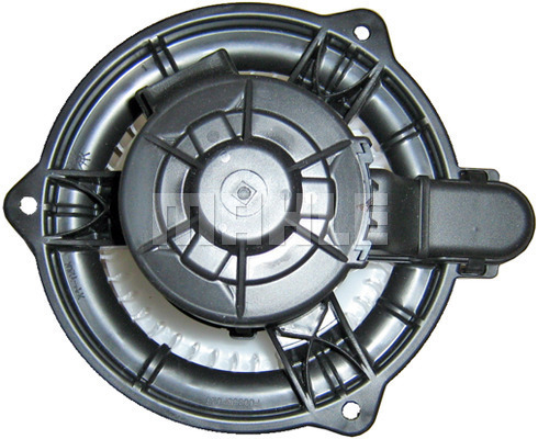 WG2179762