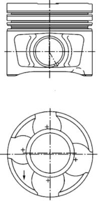 WG1016557