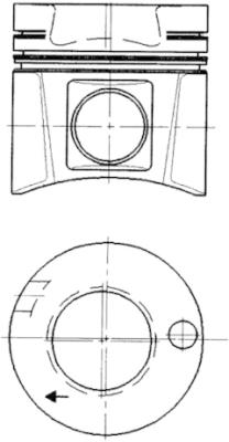 WG1021931