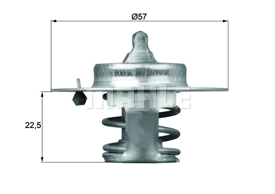 WG1264891