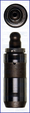 WG1009699