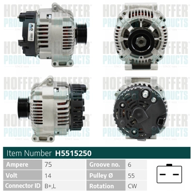 WG2174954
