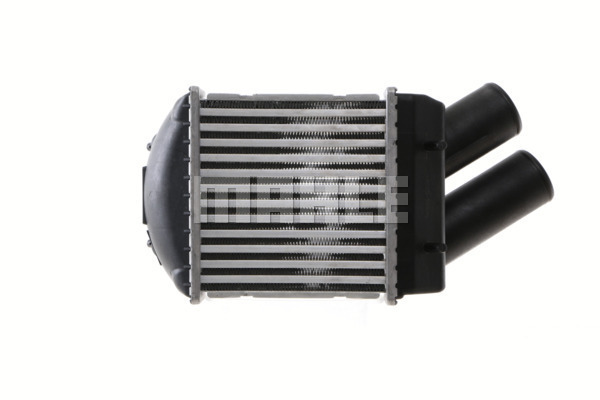WG2370790