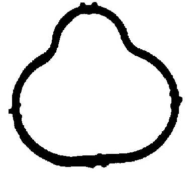 WG1008563
