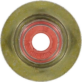 WG1004674
