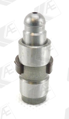 WG1172086