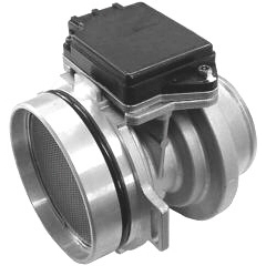 WG1965081
