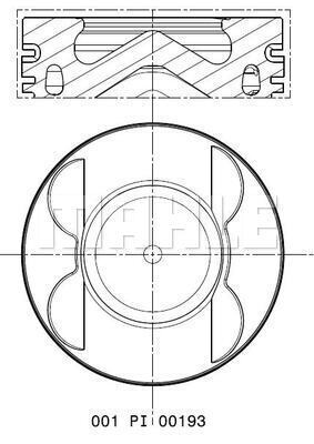 WG2325779