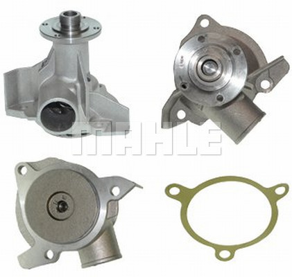 WG2181617