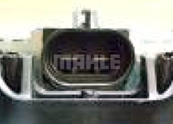 WG2180534