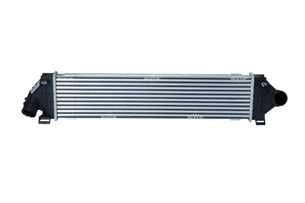 WG1724008